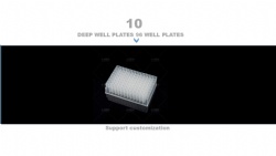 DEEP WELL PLATES 96 WELL PLATES